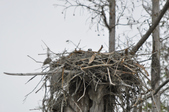 Enlarge photo 39