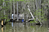 Enlarge photo 43