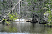 Enlarge photo 44