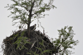 Enlarge photo 46