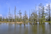 Enlarge photo 74
