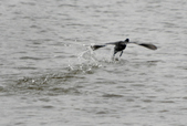 Enlarge photo 83