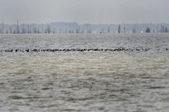 Enlarge photo 86