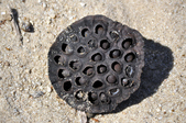 Enlarge photo 93