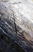 Enlarge photo 95
