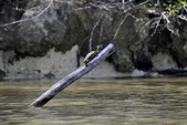Enlarge photo 97