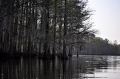 Enlarge photo 102