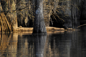 Enlarge photo 104