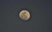 Enlarge photo 109
