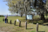 Enlarge photo 115