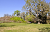 Enlarge photo 121