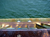 Enlarge photo 97