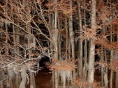 Enlarge photo 80