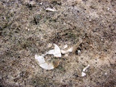 Enlarge photo 77