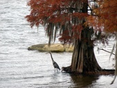 Enlarge photo 52