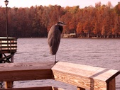 Enlarge photo 54