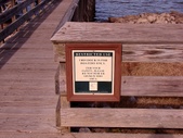 Enlarge photo 45