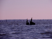 Enlarge photo 36