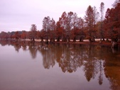 Enlarge photo 102