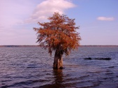 Enlarge photo 57