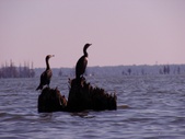 Enlarge photo 38