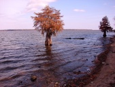 Enlarge photo 58