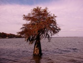 Enlarge photo 61