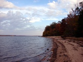 Enlarge photo 93