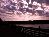 Enlarge photo 86