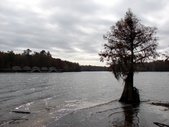 Enlarge photo 64