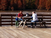 Enlarge photo 85