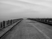 Enlarge photo 98