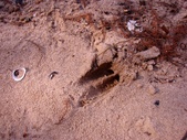 Enlarge photo 67