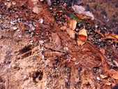 Enlarge photo 68