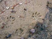 Enlarge photo 90