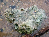 Enlarge photo 87