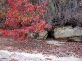 Enlarge photo 91