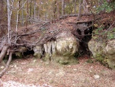 Enlarge photo 92