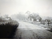 Enlarge photo 81