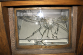 Enlarge photo 39