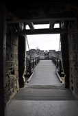 Enlarge photo 63