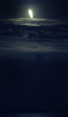 Enlarge photo 103