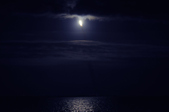 Enlarge photo 104