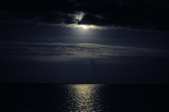 Enlarge photo 105