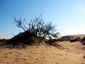 Enlarge photo 38