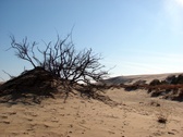Enlarge photo 36