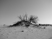 Enlarge photo 35