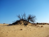 Enlarge photo 34