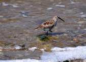 Enlarge photo 34