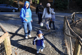 Enlarge photo 58